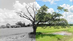 Dreamstime Xxl 88056005 5ff49846dae25 Dreamstime Xxl 88056005 5ff49846dae25