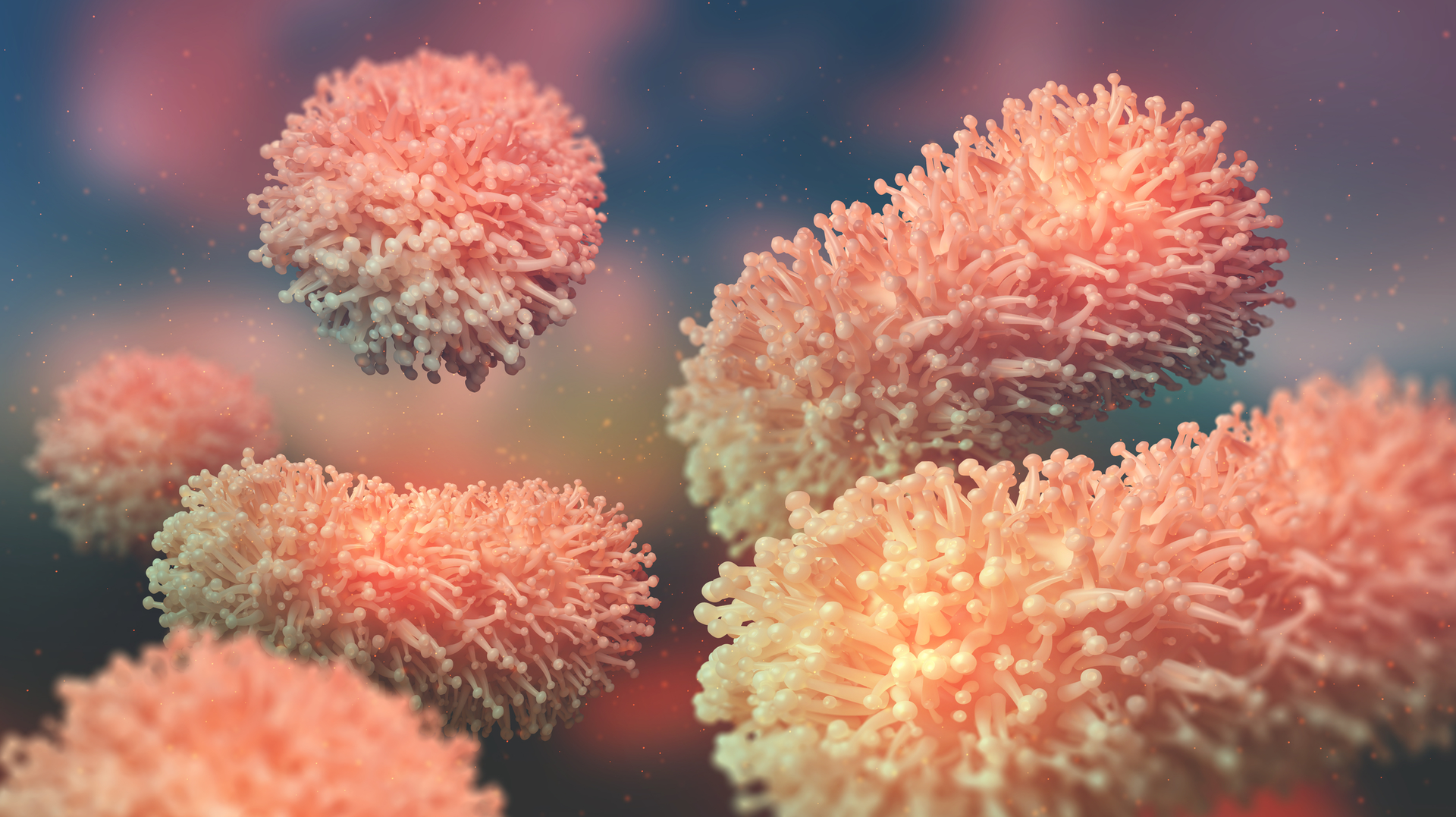 Dreamstime M 142512563