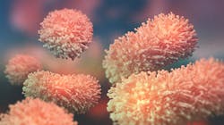 Dreamstime M 142512563 60410de104cab Dreamstime M 142512563 60410de104cab