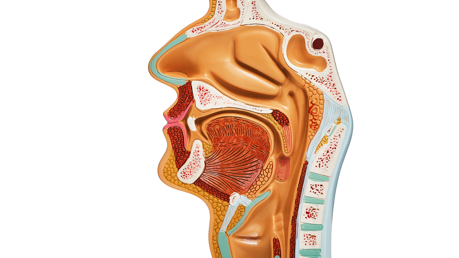 Getty Images 1297735428 Silo