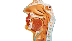 Getty Images 1297735428 Silo 606e1806ad79e Getty Images 1297735428 Silo 606e1806ad79e