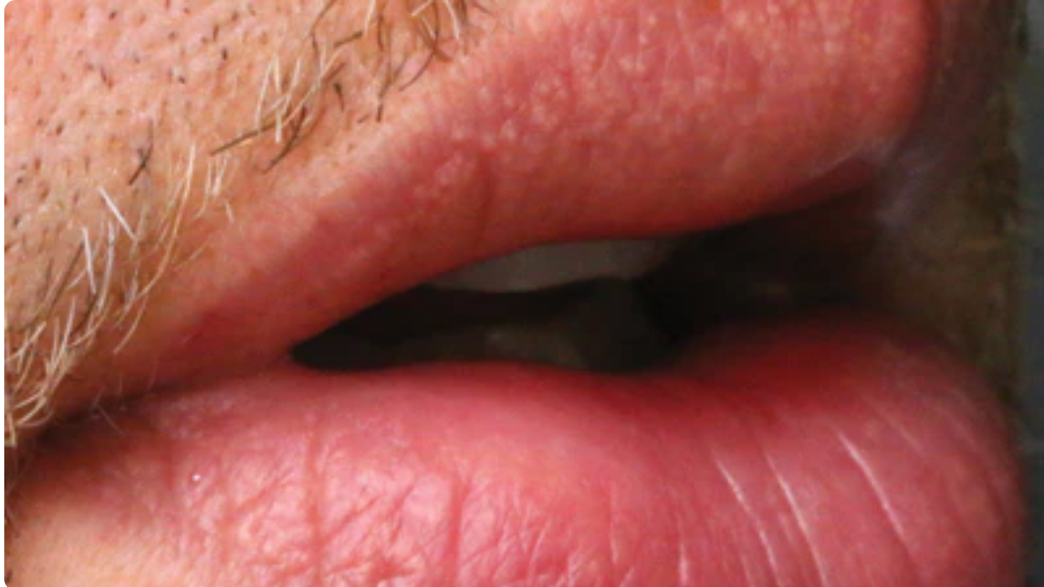 Screen Shot 2021 06 15 At 2 47 11 Pm 60c8f68be73de