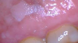 2108 Rd Hbur P01 60e8ad220a371 611d6b4b2c4e8 2108 Rd Hbur P01 60e8ad220a371 611d6b4b2c4e8