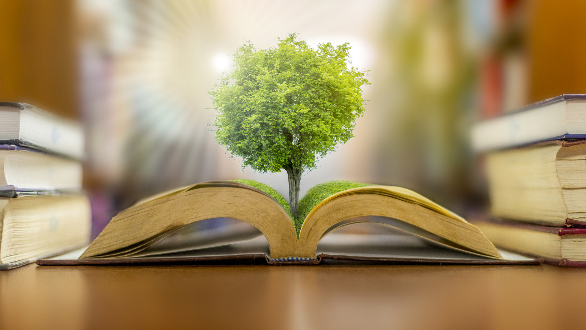 Dreamstime M 167282660 612b8d1773f87