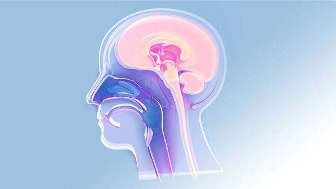 E6508d4f 43eb 4d57 Ae6a 11358d7b0187 611e7179dc505