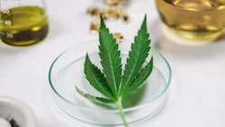 Dreamstime Xxl 161554734 613a2990f1e30 Dreamstime Xxl 161554734 613a2990f1e30