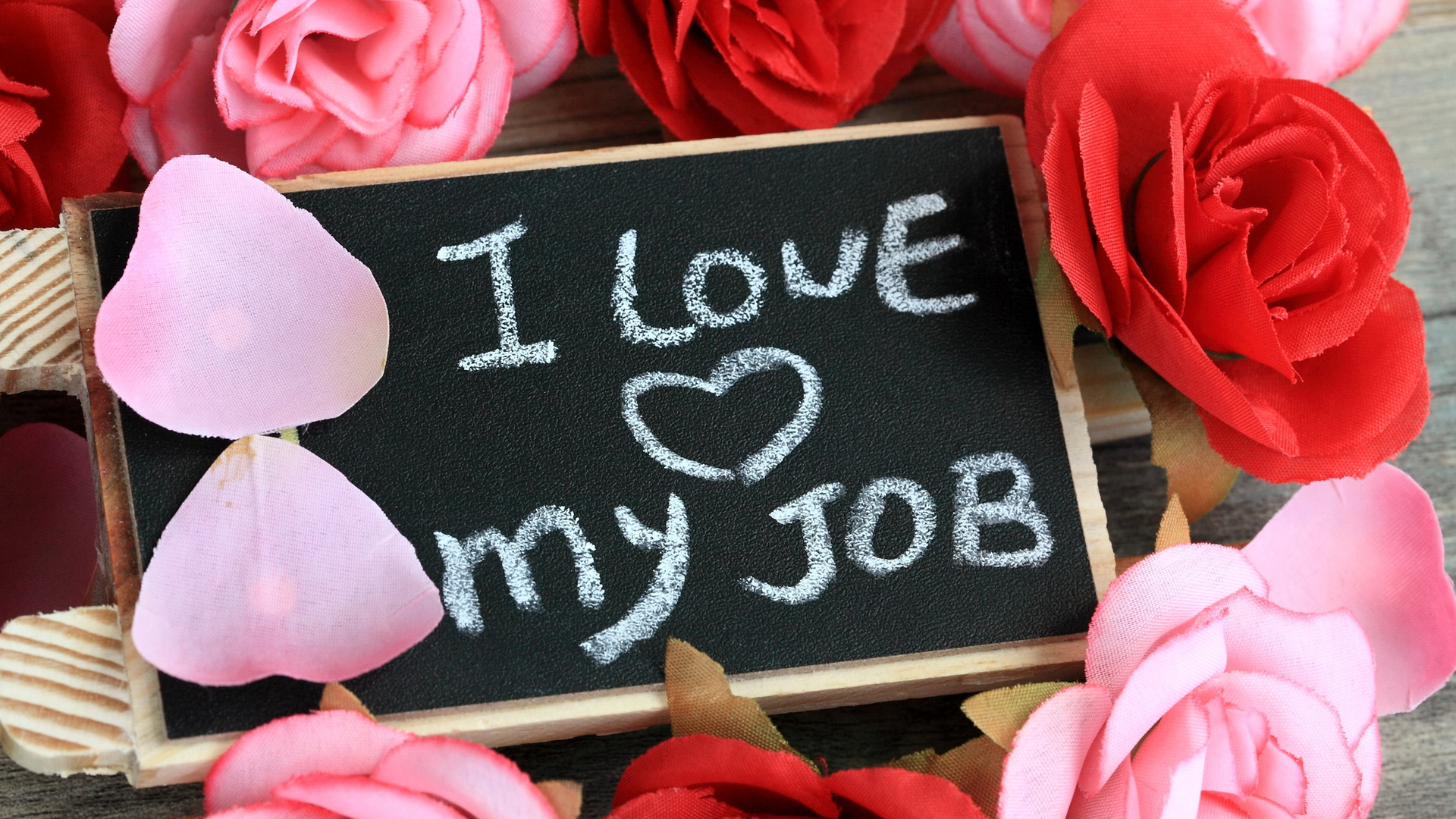 Love My Job 62019c893b765