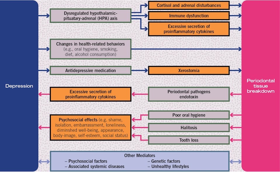 Figure 2: Review of reported results related to the biological and psychosocial mechanisms underlying the depression-periodontal disease bidirectional connection