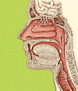 Getty Images 152405110 Getty Images 152405110