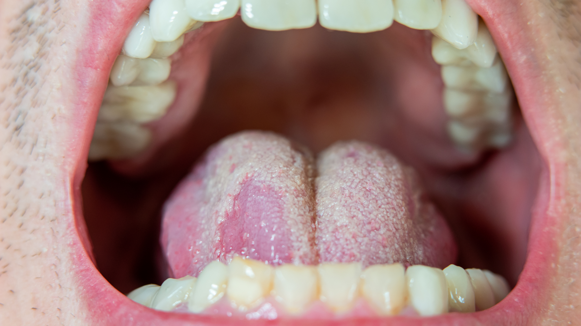 Dreamstime M 234346594