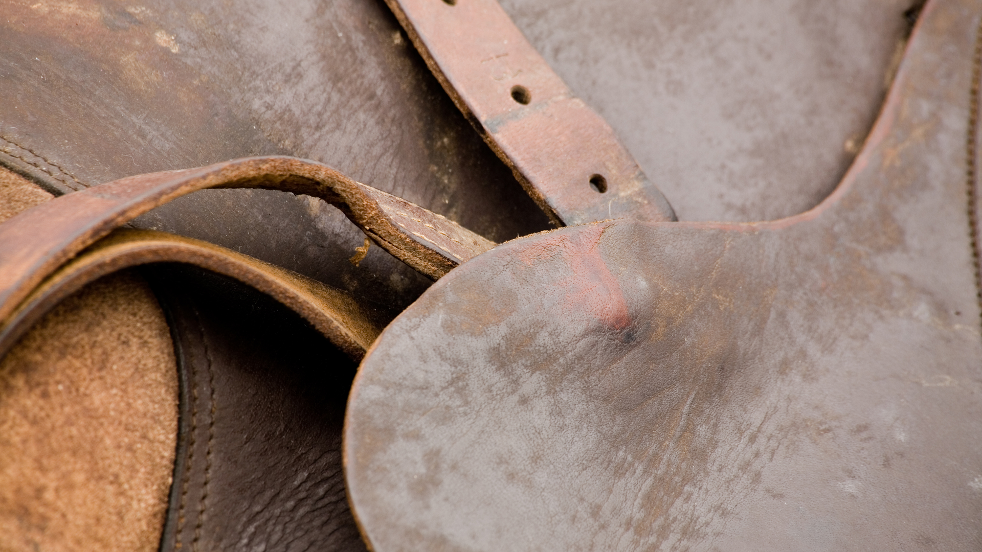 Dreamstime Xl 2474018 627c0b69e0ef0