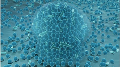 3D illustration of bacteria in a biofilm matrix