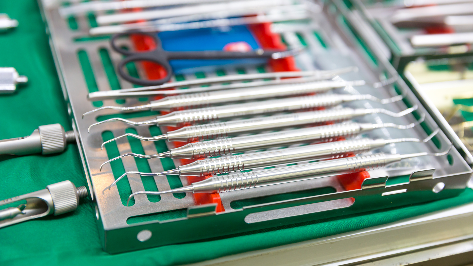 Dreamstime Xl 102587860