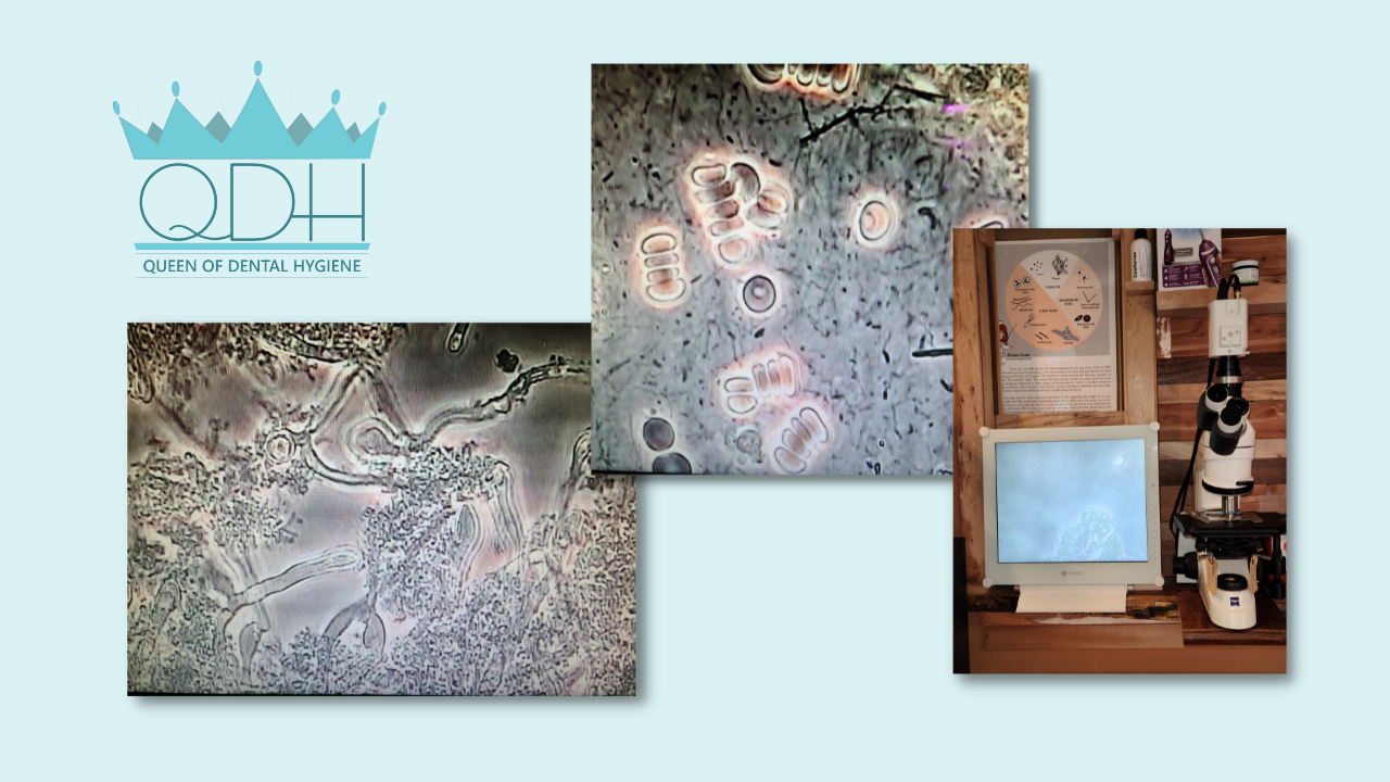 Qodh 12 6 638f5c36b260d