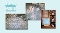 Qodh 12 6 638f5c36b260d Qodh 12 6 638f5c36b260d