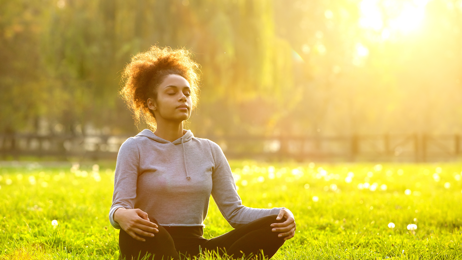 Dreamstime Xxl 55144432