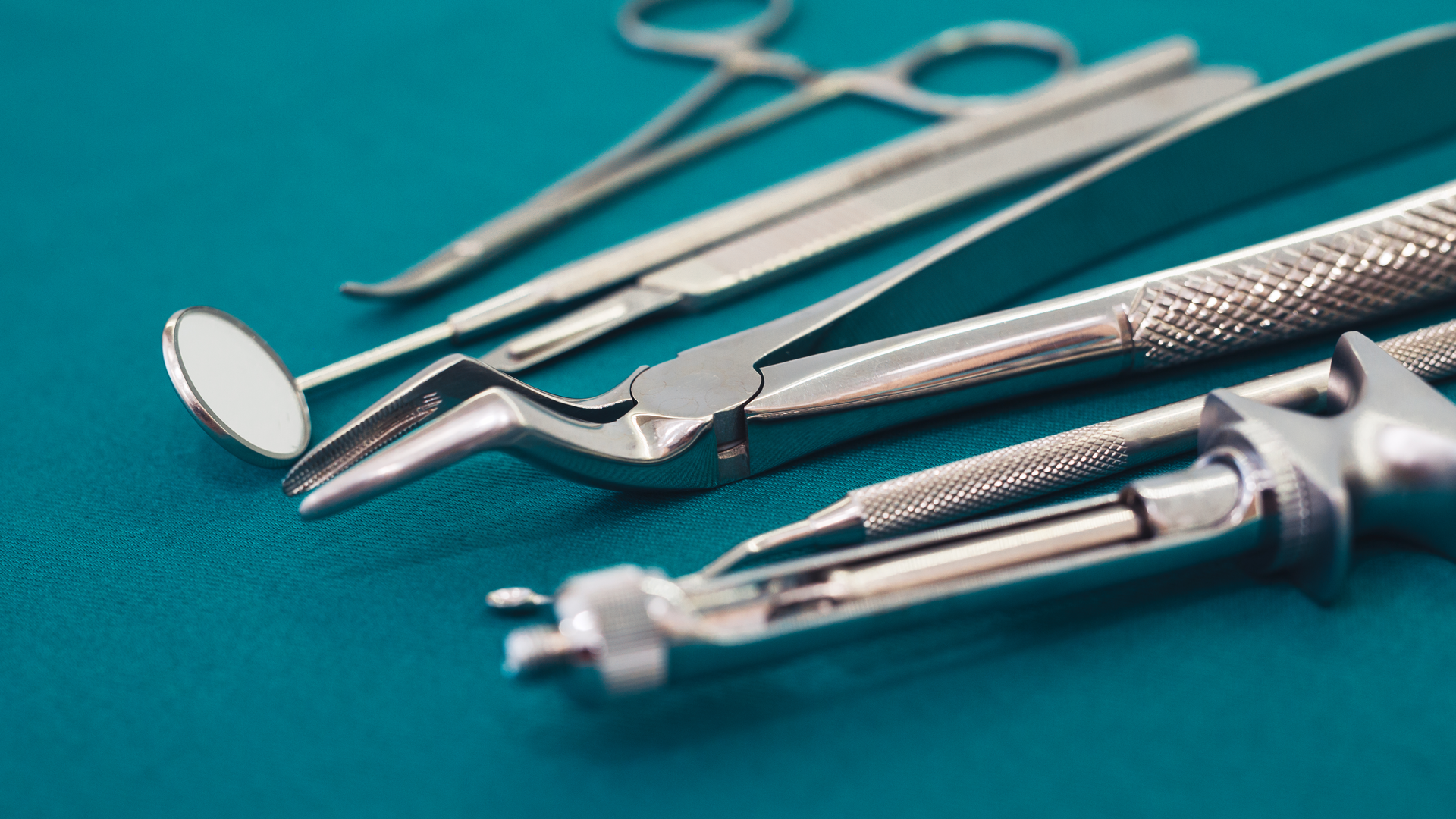 Dreamstime Xxl 89530613 63e421ce59c51