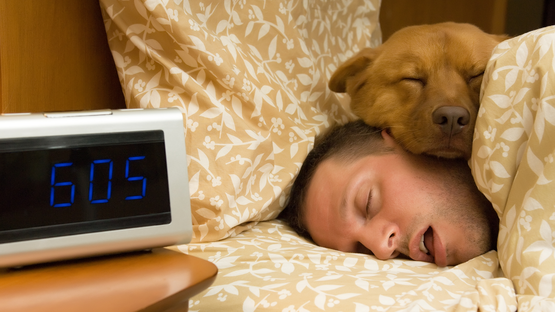 Sleep Mouth Open 63f3b106f104e