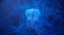 Getty Images 1303474691 Getty Images 1303474691