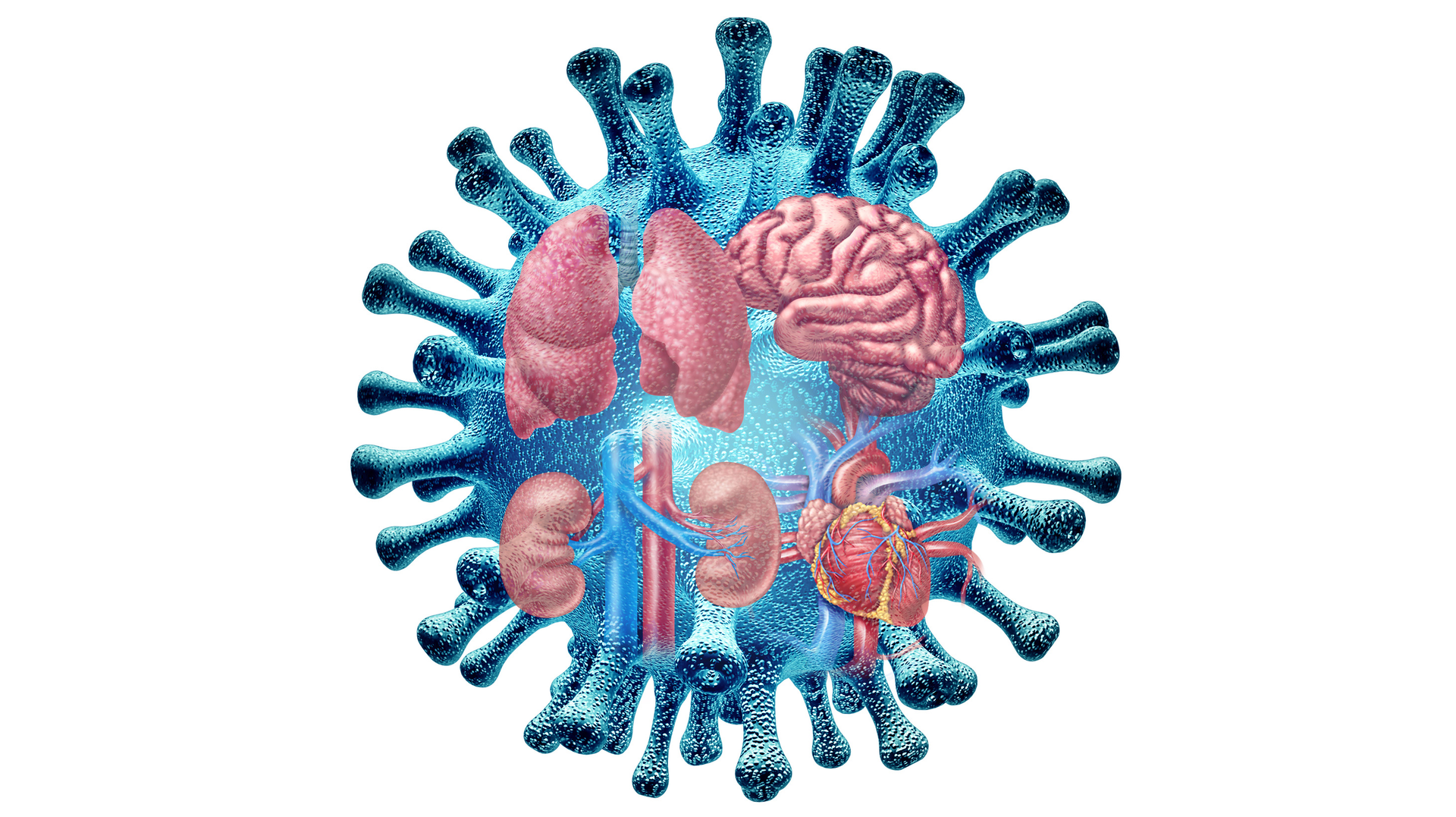 Getty Images 1434831733 Thumb 641b582e6dd58