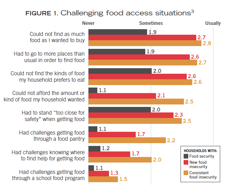 How Food Insecurity Affects Families: What Can Be Done And Who Can Help ...