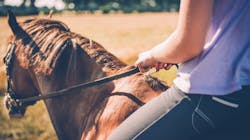 Getty Images 484823870 64592cddf24d7 Getty Images 484823870 64592cddf24d7