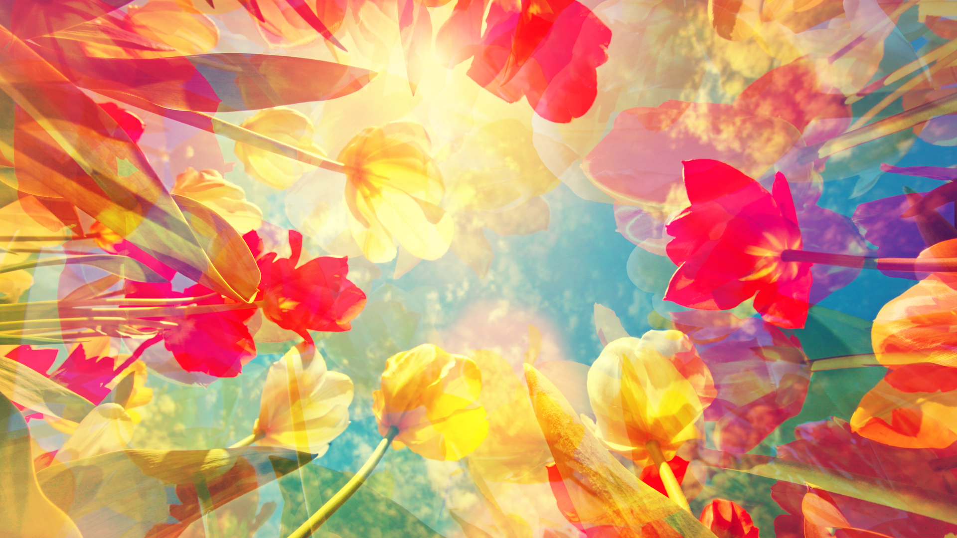 Microsoft Teams Image (1)