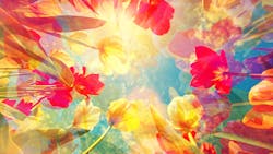 Microsoft Teams Image 1 64516e782a7d6 Microsoft Teams Image 1 64516e782a7d6