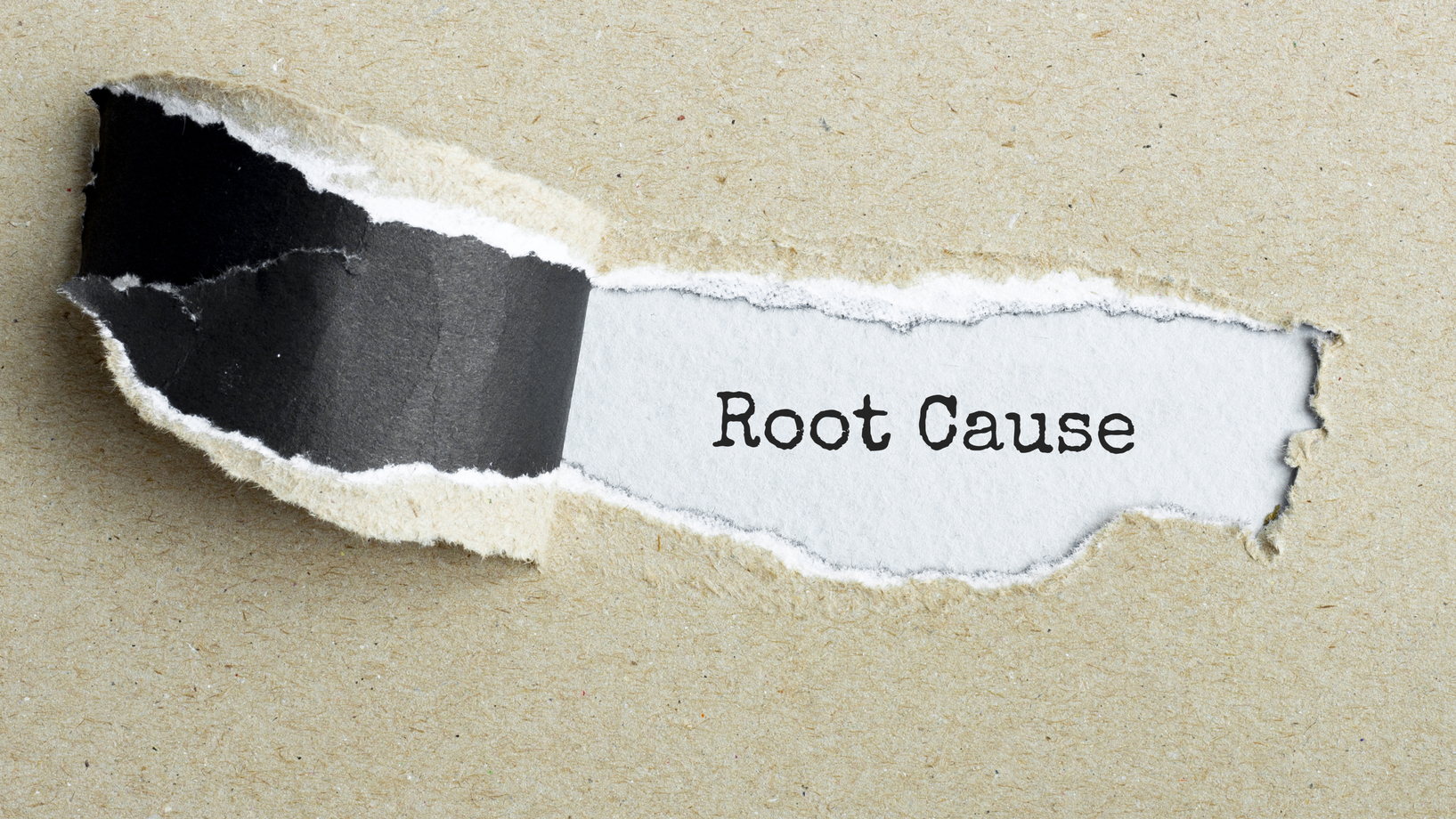 Dreamstime Xxl 192987040 652d6340129ea