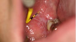 Figure7 65314b4786e2f Figure7 65314b4786e2f