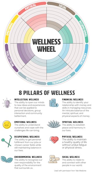Figure 1: 8 pillars of wellness