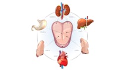 65568c09b4b511001e452aba Dreamstime 213877609 65568c09b4b511001e452aba Dreamstime 213877609
