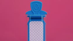 65ccd86cb937ba001d474d18 Proedge 65ccd86cb937ba001d474d18 Proedge