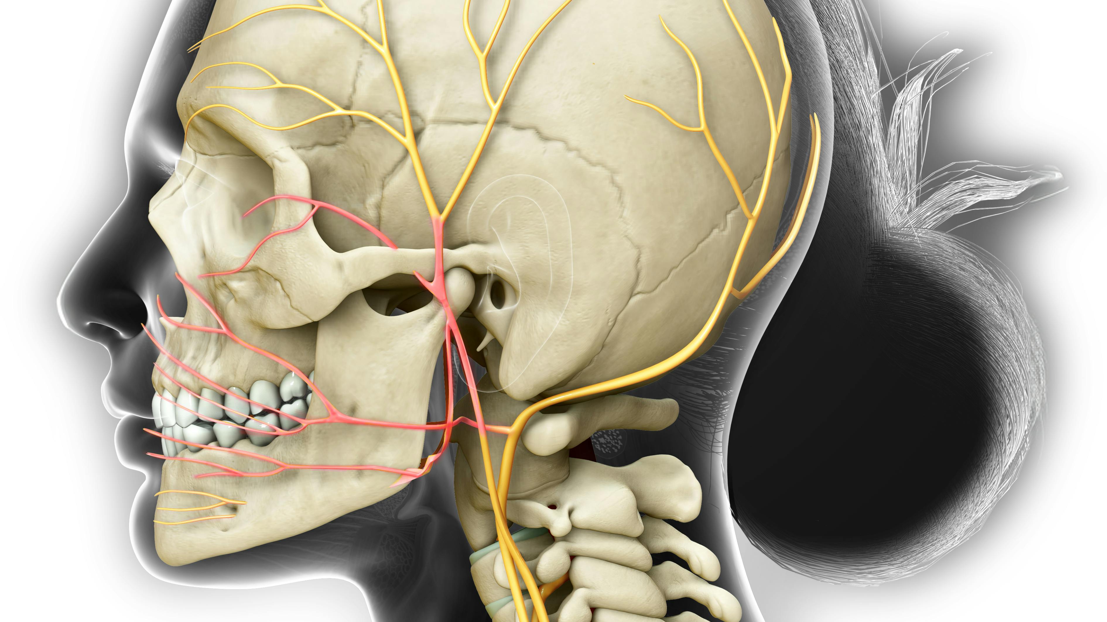 65e88e798e9786001eaa34b8 Gettyimages1254727277