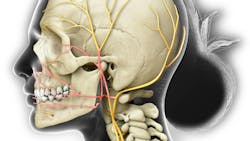 65e88e798e9786001eaa34b8 Gettyimages1254727277 65e88e798e9786001eaa34b8 Gettyimages1254727277