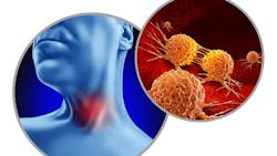 6616b8b919778b001e8f0a4a Gettyimages1652155881170667a 6616b8b919778b001e8f0a4a Gettyimages1652155881170667a