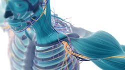 6616b90998621a001e0817e7 Gettyimages544965402 6616b90998621a001e0817e7 Gettyimages544965402