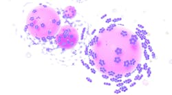 viruses-dentistry-HPV-HSV viruses-dentistry-HPV-HSV