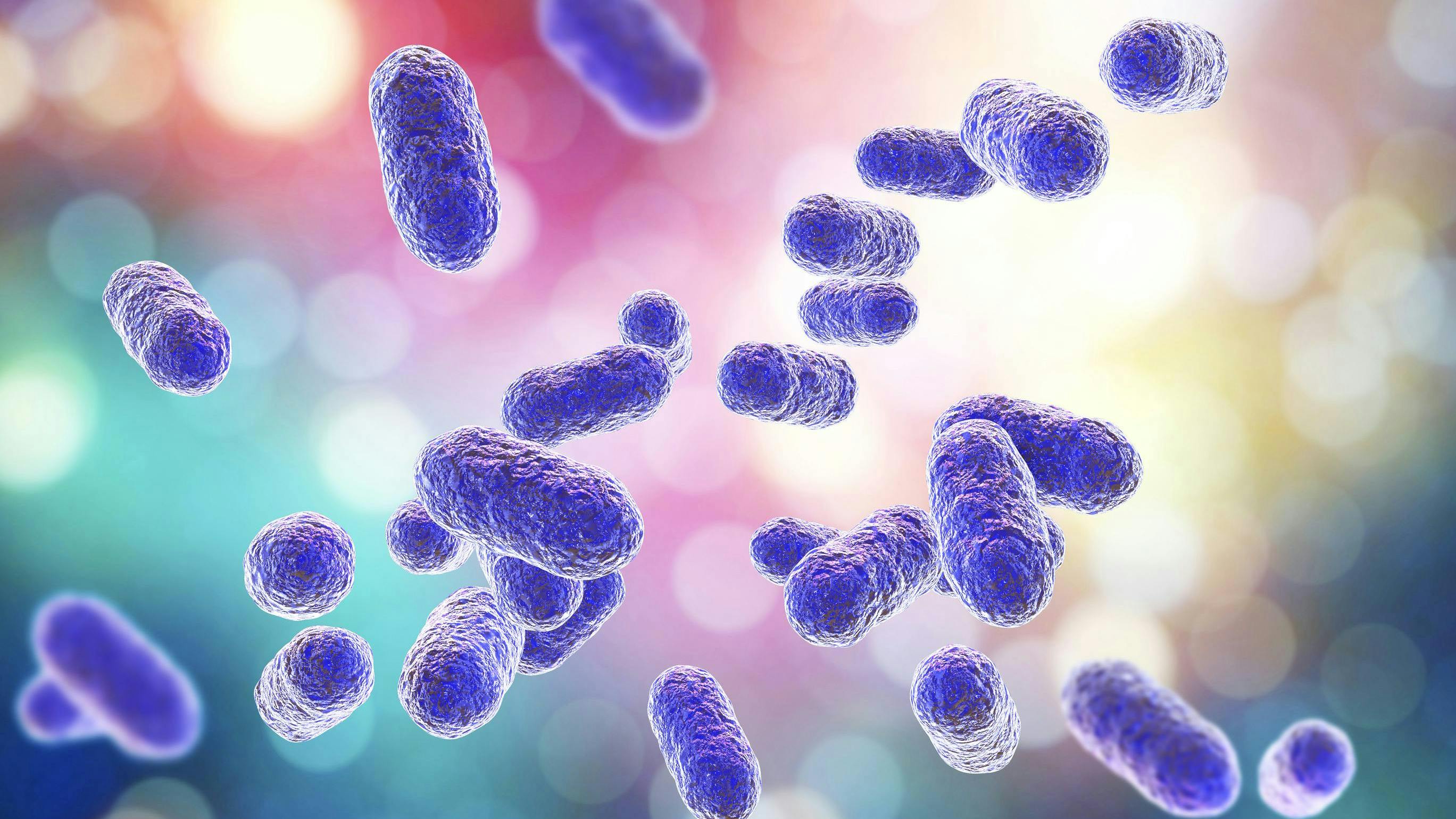 Porphyromonas gingivalis and gingipains