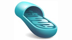 mitochondrial dysfunction, periodontitis, and systemic disease mitochondrial dysfunction, periodontitis, and systemic disease