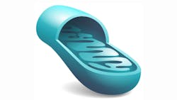 mitochondrial dysfunction, periodontitis, and systemic disease mitochondrial dysfunction, periodontitis, and systemic disease