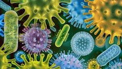 66fc5e9f582f0a951e9d713b Gut Microbiome 66fc5e9f582f0a951e9d713b Gut Microbiome