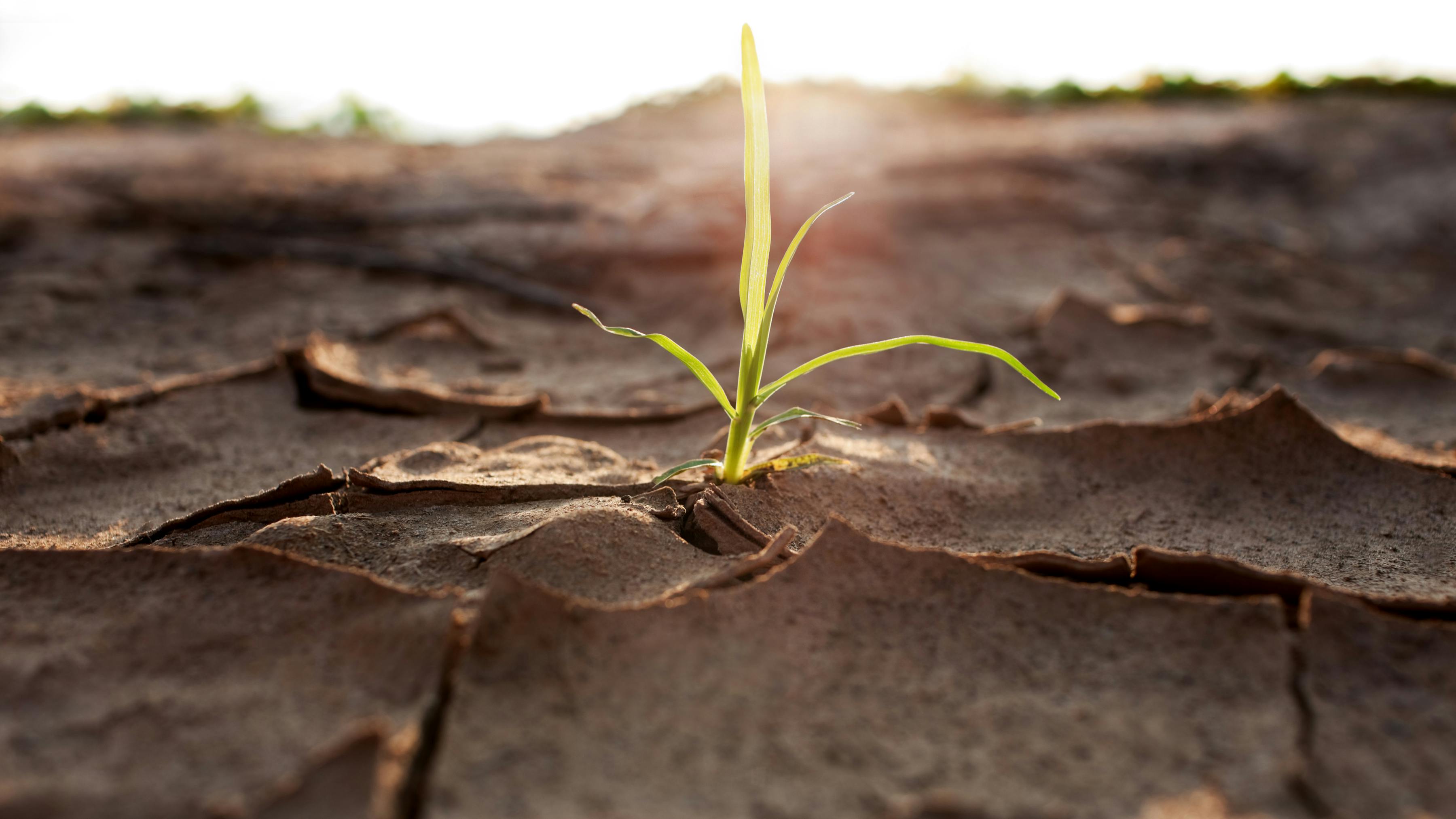 67892f1b8456fa6d1cc001ca Gettyimages157602600