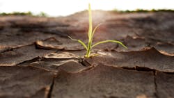 67892f1b8456fa6d1cc001ca Gettyimages157602600 67892f1b8456fa6d1cc001ca Gettyimages157602600