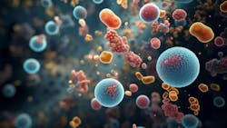 67b60007cfae39698ea38401 Probiotics And Oral Health 67b60007cfae39698ea38401 Probiotics And Oral Health