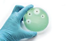 alternative to traditional antibiotics alternative to traditional antibiotics