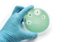 alternative to traditional antibiotics alternative to traditional antibiotics