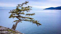 The pandemic exposed cracks in the dental hygiene workforce—enabling us to have difficult conversations about how to move forward sustainably. The pandemic exposed cracks in the dental hygiene workforce—enabling us to have difficult conversations about how to move forward sustainably.