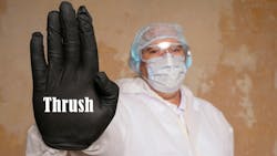 67ed6c278d4ed45dbc00ba45 Thrush 67ed6c278d4ed45dbc00ba45 Thrush