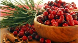 cranberries_for_holistic_oral_health cranberries_for_holistic_oral_health